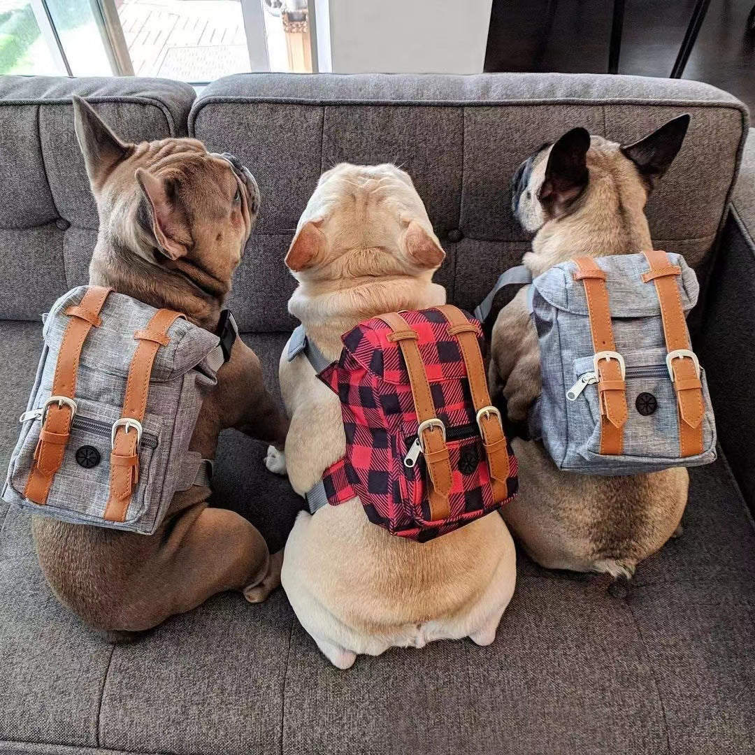 Dog backpack Pet small schoolbag with straps Portable