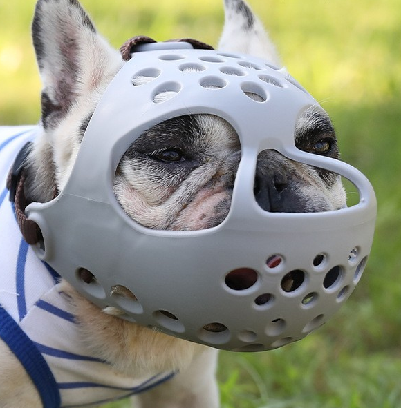 Humble Dog Soft Rubber Short-Muzzle Dog Muzzle for Bull Terrier, English Bulldog, French Bulldog, Pug - Prevents Biting and Eating Randomly