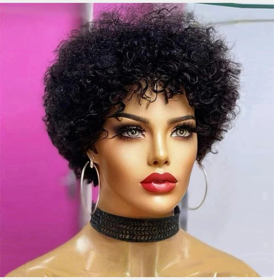 Large Bouncy Afro Kinky Curly Wigs For Black Women Glueless Pre Plucked  Wig Brazilian Virgin Remy Human Hair Wigs