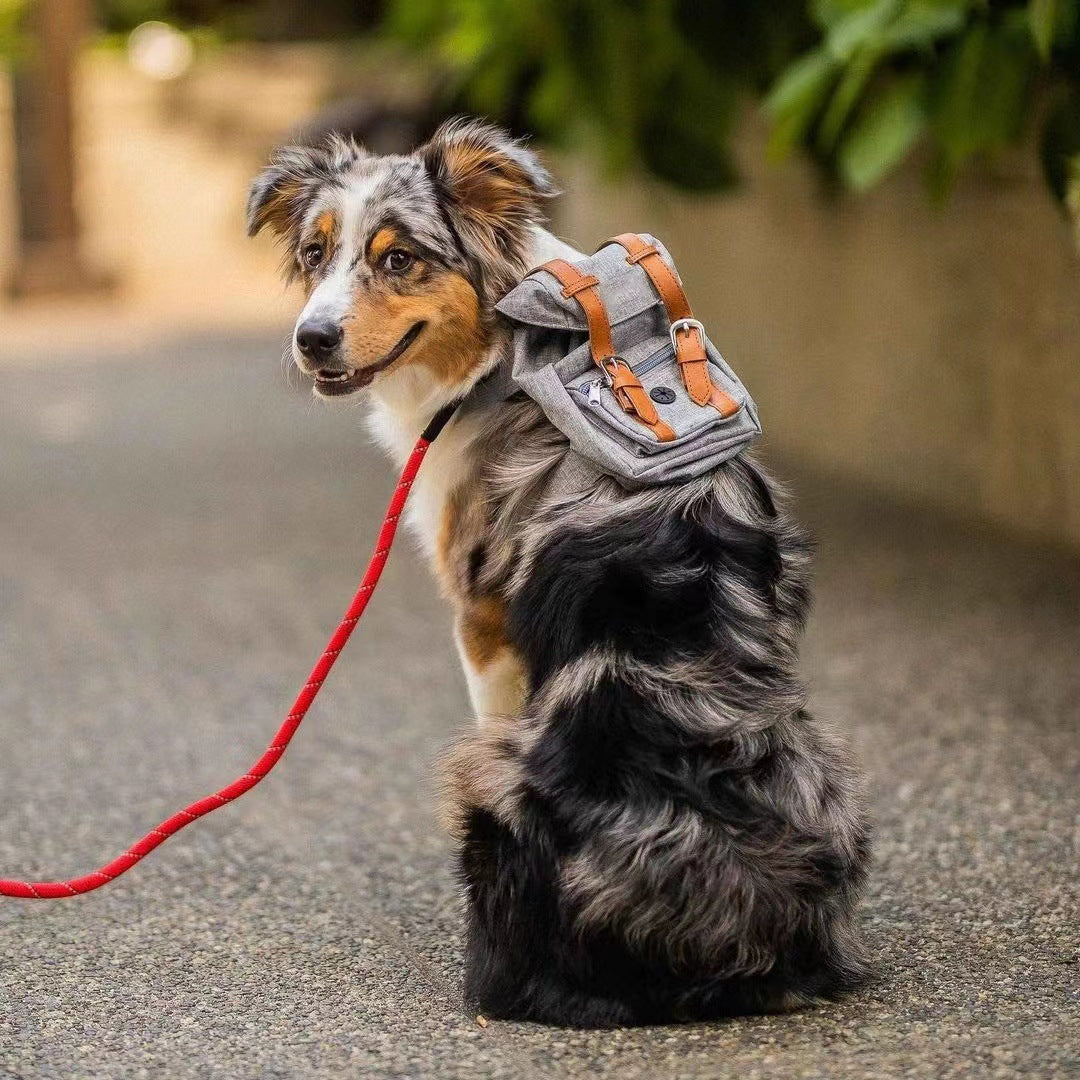 Dog backpack Pet small schoolbag with straps Portable