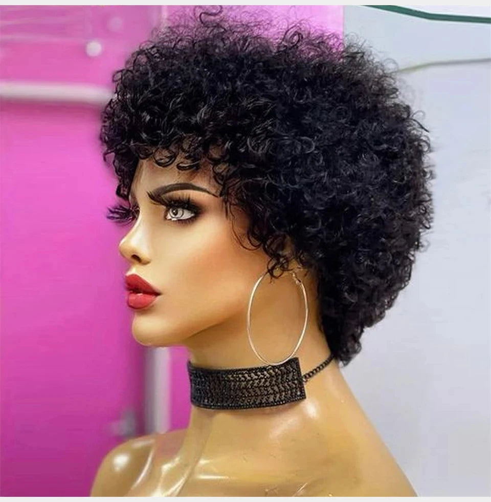 Large Bouncy Afro Kinky Curly Wigs For Black Women Glueless Pre Plucked  Wig Brazilian Virgin Remy Human Hair Wigs