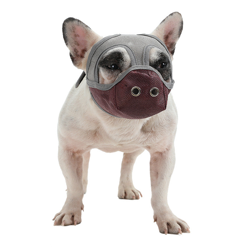 Bullmastiff Mouthguard Flat-Faced Dog Anti-Chew Anti-Bite Drinking Mouthguard