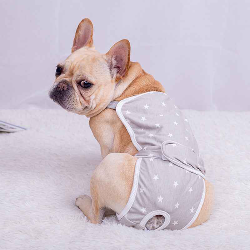 Female Teddy corgi Puppy Pug Menstrual Pet Safety Pants