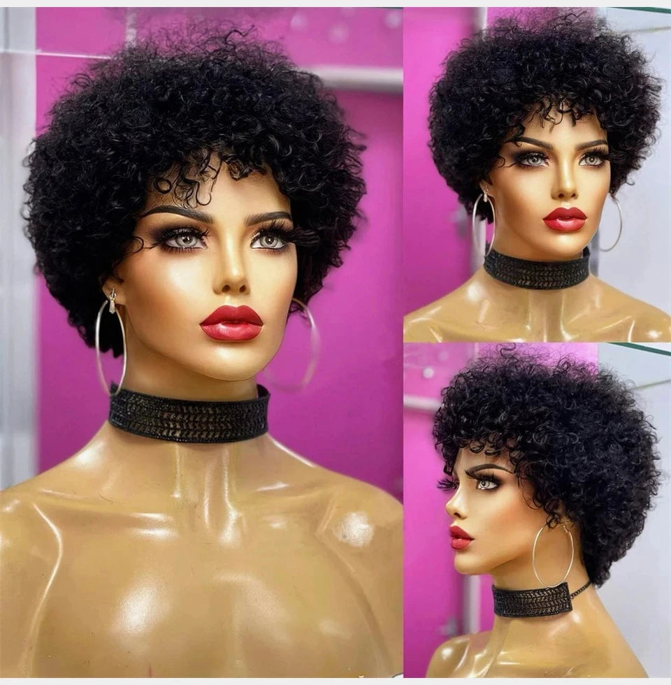 Large Bouncy Afro Kinky Curly Wigs For Black Women Glueless Pre Plucked  Wig Brazilian Virgin Remy Human Hair Wigs