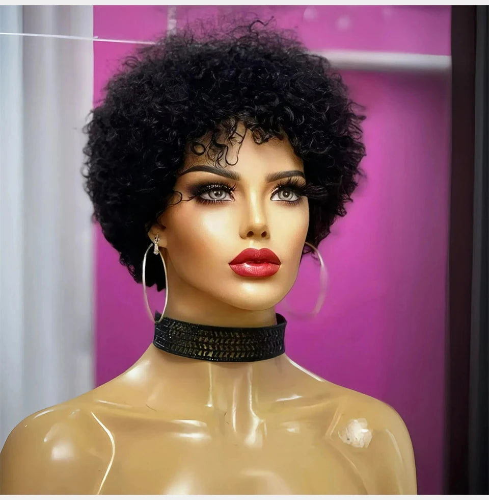 Large Bouncy Afro Kinky Curly Wigs For Black Women Glueless Pre Plucked  Wig Brazilian Virgin Remy Human Hair Wigs