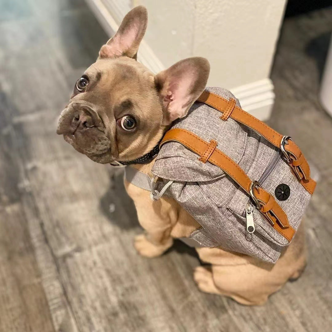 Dog backpack Pet small schoolbag with straps Portable