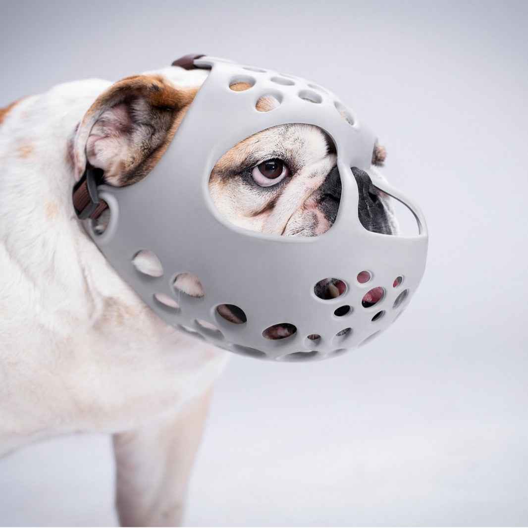 Humble Dog Soft Rubber Short-Muzzle Dog Muzzle for Bull Terrier, English Bulldog, French Bulldog, Pug - Prevents Biting and Eating Randomly