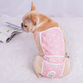 Female Teddy corgi Puppy Pug Menstrual Pet Safety Pants